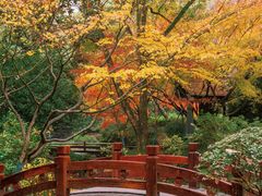 -中国茶叶博物馆(双峰馆区)