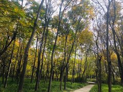 -洛阳市隋唐城遗址植物园
