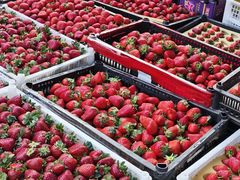 -南坛综合农贸市场