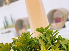 -锦鲤·咖啡(辰熙大厦店)