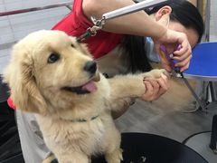 -PETKIT小佩宠物(古北店)