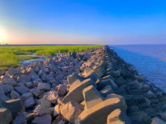 -南汇嘴观海公园