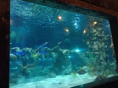 -杭州海底世界