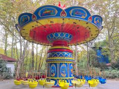 -上海共青森林公园