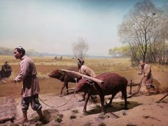 -中国农业博物馆
