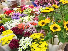 -双季花艺园艺市场(浦东店)