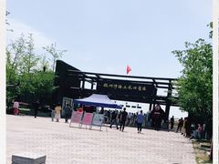 -杭州湾海上花田景区