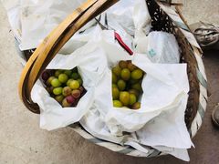 -马陆小张葡萄园农家乐