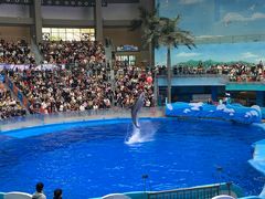-海合安成都极地海洋公园