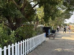 -长洲岛都市农业公园