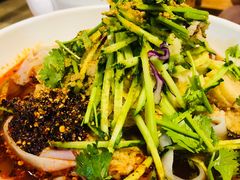凉皮-老阿妈蒙古村·蒙古包·草原文化·歌舞表演(老君堂店)