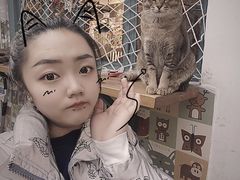 -喵屿·大理花园猫咖