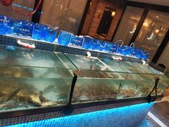 水产区-小天鹅戴斯酒店鲸鲨百汇创作料理