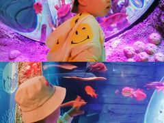 -沈阳海洋探索中心