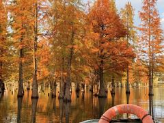 -白鹭湾湿地公园