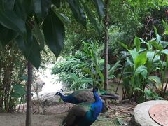 -黔灵山公园-南门售票处