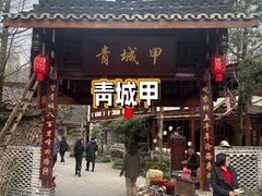 -青城甲(青城山店)