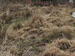 -柳鹭田园区