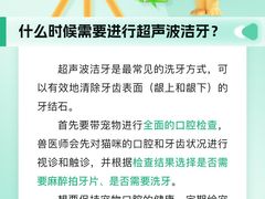 -瑞派申生动物医院·24H夜诊·国际动物医疗中心·骨外科(吴中路店)