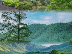 -莫干山风景区
