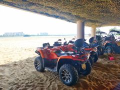 -柳湖沙月沙滩公园