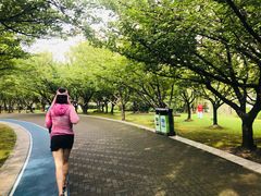 -苏州河梦清园环保主题公园