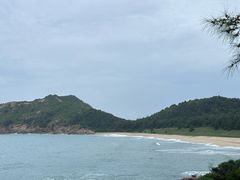 -广东惠东海龟国家级自然保护区