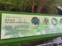 -西湖风景区-江洋畈生态公园