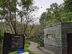 -重庆彩云湖湿地公园