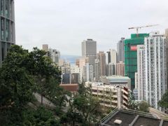 -香港大学
