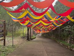 -北京十三陵国家森林公园蟒山景区