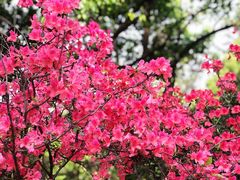 -临平公园(临平街道)