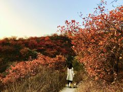 -鬼笑石后山停车场