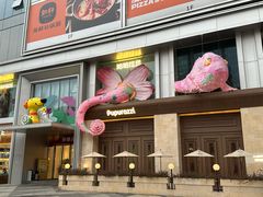 -帕帕拉兹宠物(亚洲旗舰店)