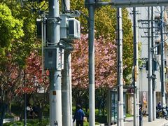 -大木小区斜土路1341弄