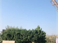 -济南国际园博园