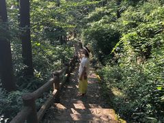 -藏龙百瀑风景区