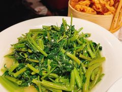 -天辣(金桥啦啦宝都店)