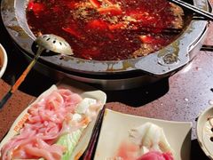 -巴倒烫陆派重庆火锅(南山店)