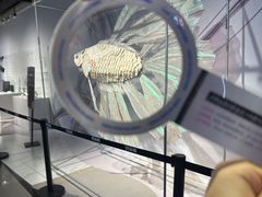 -天河体育中心