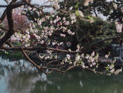 -玄武湖景区-情侣园游乐场
