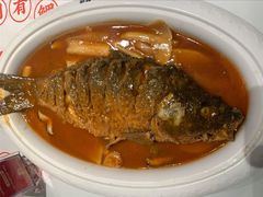 -阿五黄河大鲤鱼(英协路店)