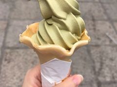 -猫咪博物馆(顶澳仔猫街店)