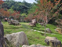 -广州市帽峰山景区