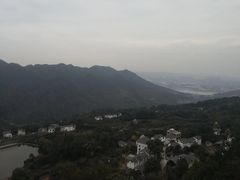 -南山植物园