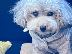 -丘中有甜(乐清·江南里店)