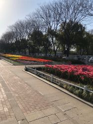 -玄武湖景区-情侣园游乐场