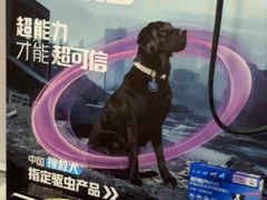 -渲嗳动物医院(异宠·复杂内科转诊中心·玖洲道富华里分院)