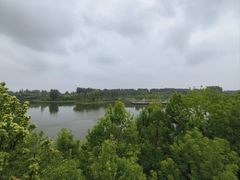 -东郊湿地公园