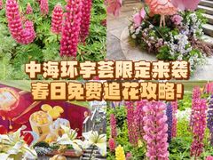 -中海环宇荟
